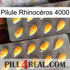 Pilule Rhinocéros 4000 cialis2